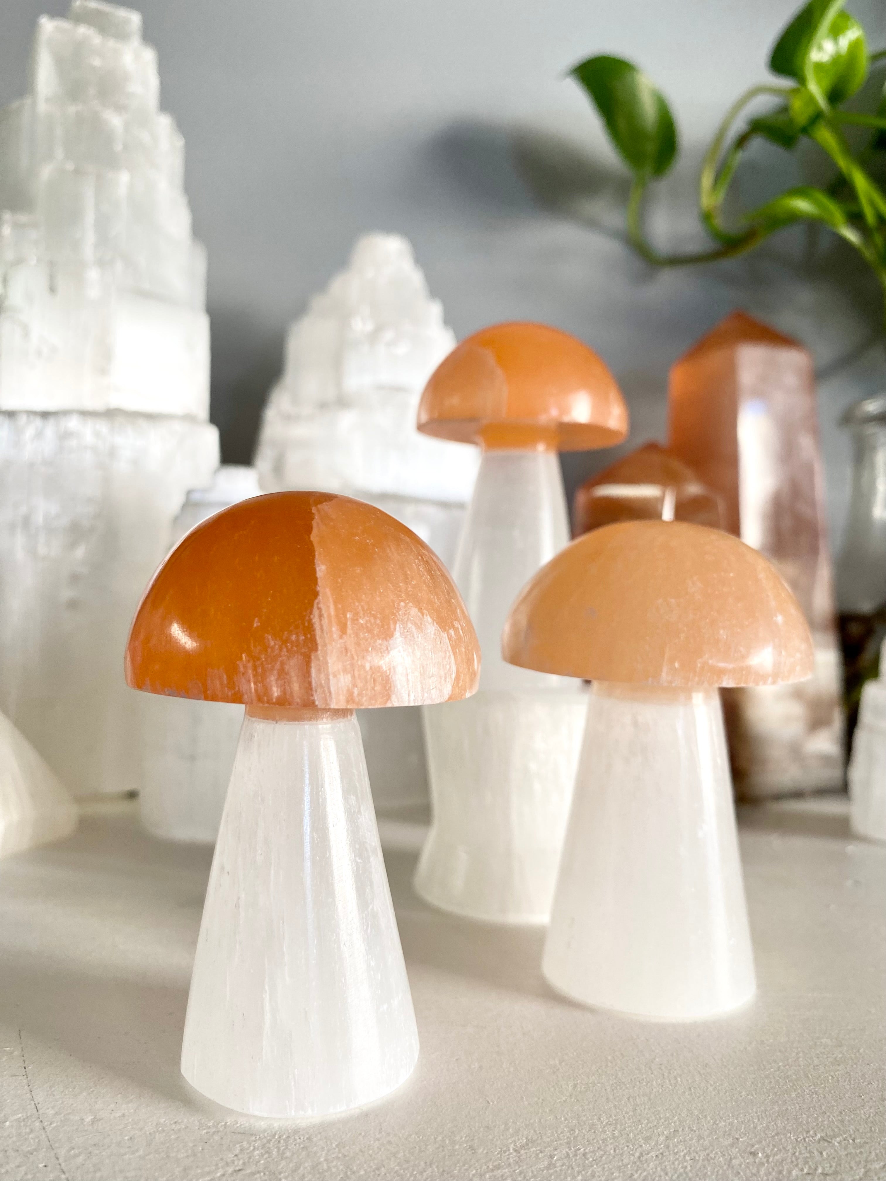 Selenite Mushroom