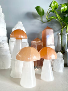 Selenite Mushroom