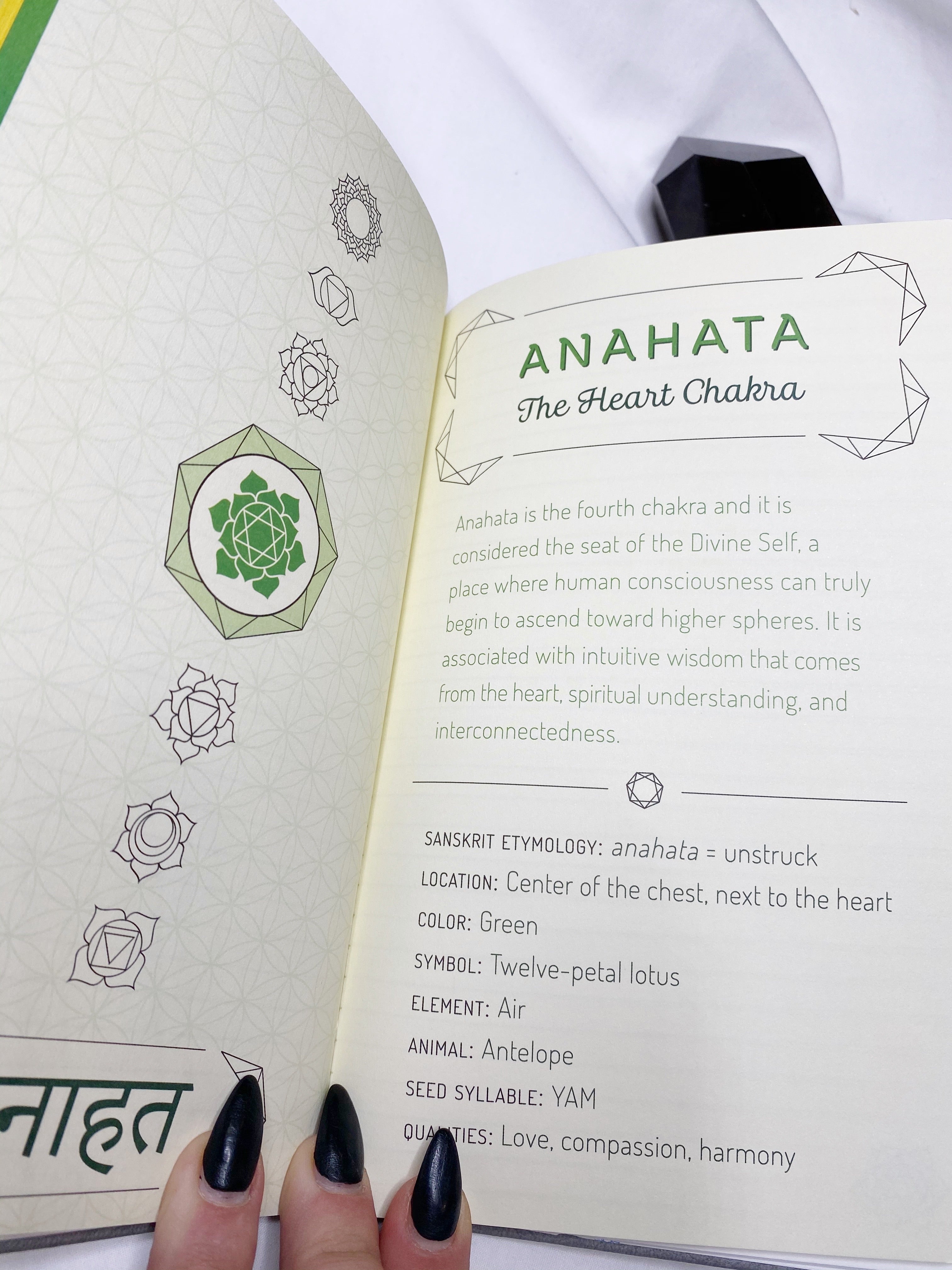 The Chakra Journal