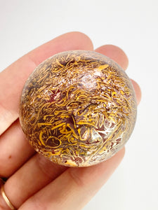 Fossil Coral Sphere