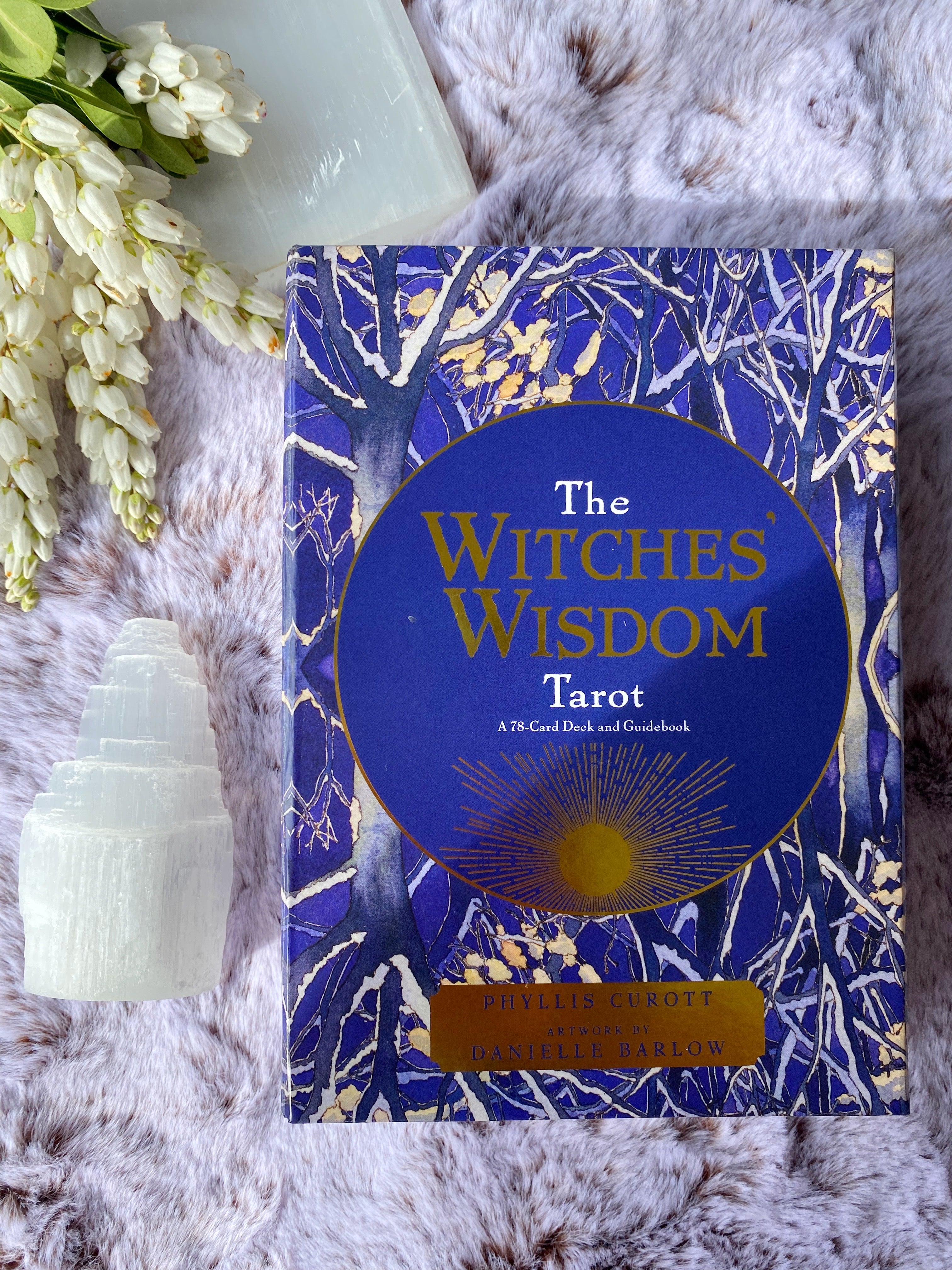 The Witches Wisdom Tarot